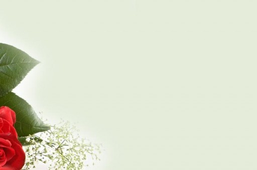 世界上特别罕见特别珍稀的蛇2025年排名前十名榜单出炉