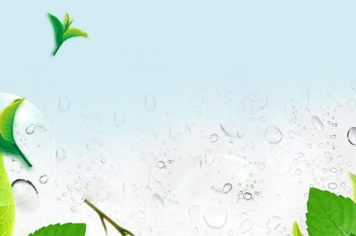 什么宠物小巧好养便宜2025近期排名前十名分析