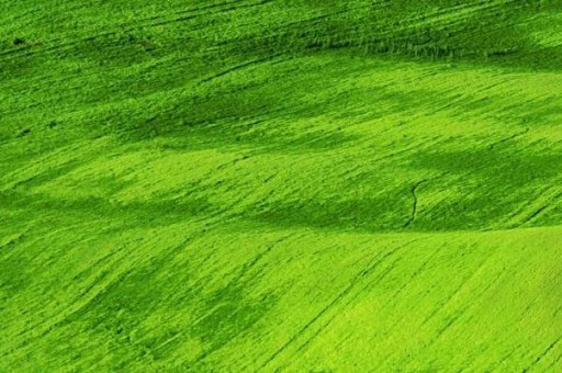 中国十大羊毛衫品牌2024最新排名前十名对比