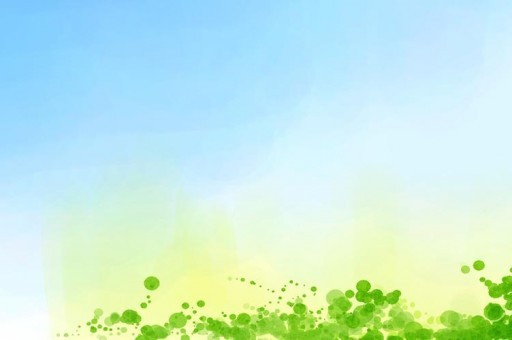 世界上特别凶悍的10种猫排名2025年排名前十名榜单出炉