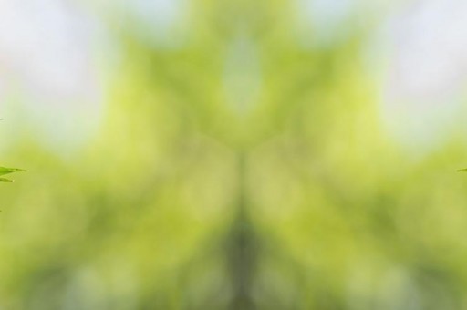 2021年12月自主C级轿车销量排行榜2025年排名前十名榜单出炉