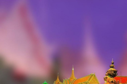 十大特别漂亮的观赏鱼排行榜2025年排名前十名榜单出炉