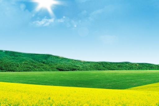 2021胡润全球成交额涨幅特别大的艺术家前十名2025年排名前十名榜单出炉