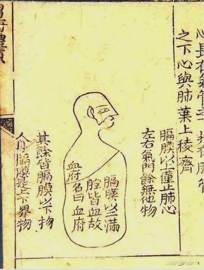 《刑场上的解剖狂人