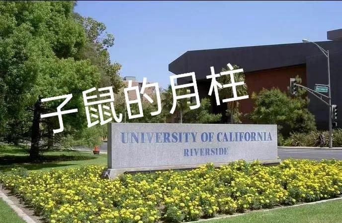 属鼠人必看！这5个月份出生注定富贵命