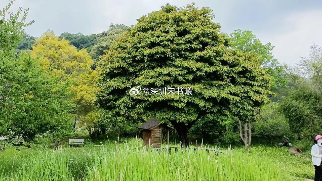 股市悟道者的终极自由