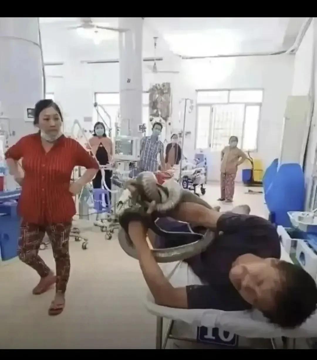 广东小伙徒手擒毒蛇送医自救！人蛇大战惊心动魄