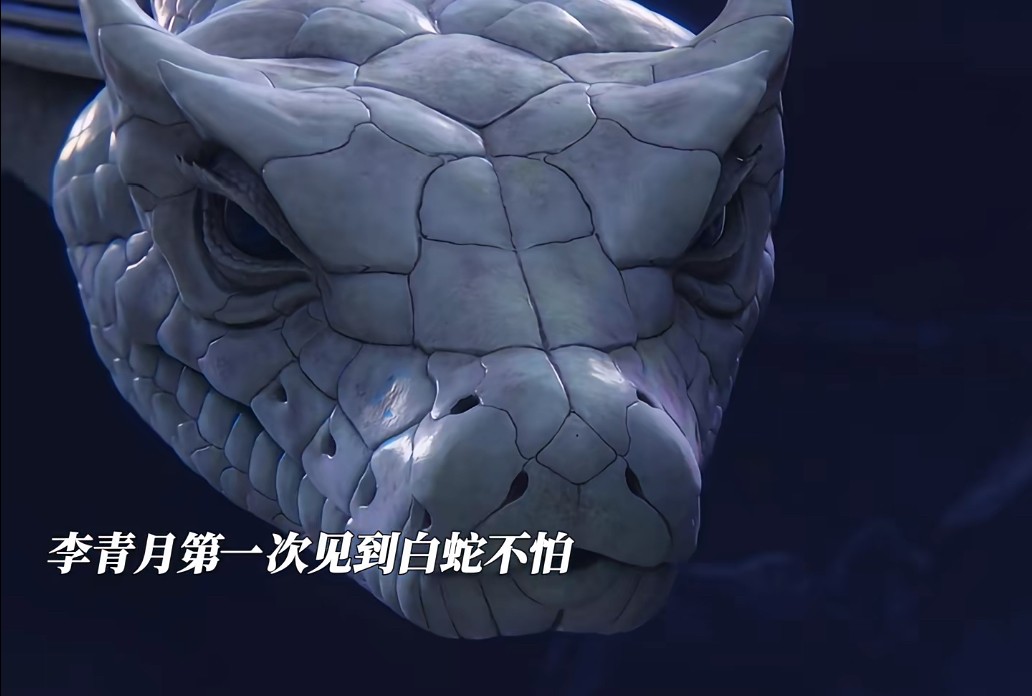 女主装失忆
