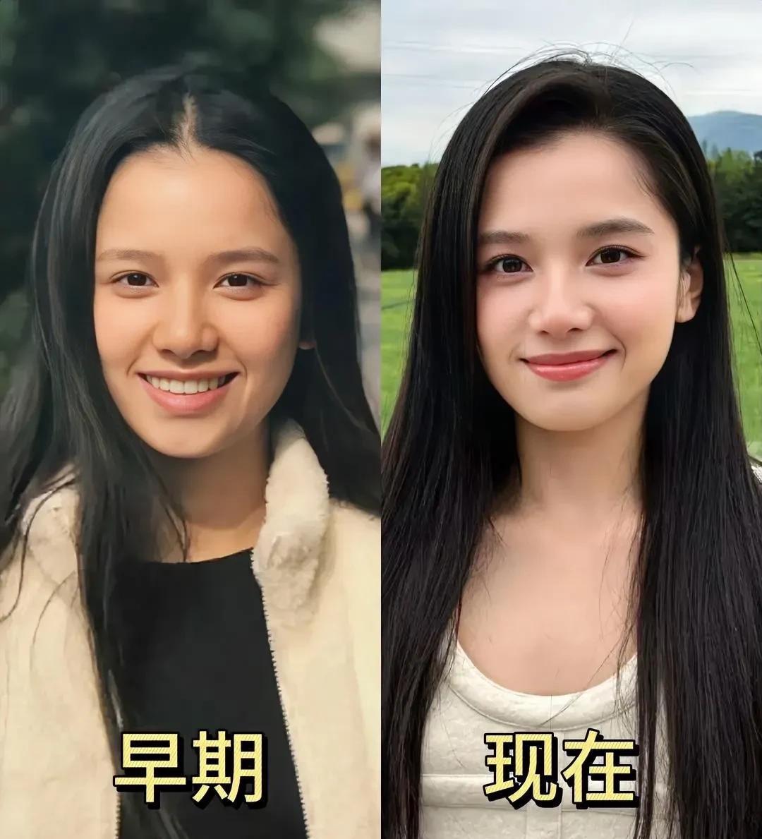张婧仪40岁颜值预测