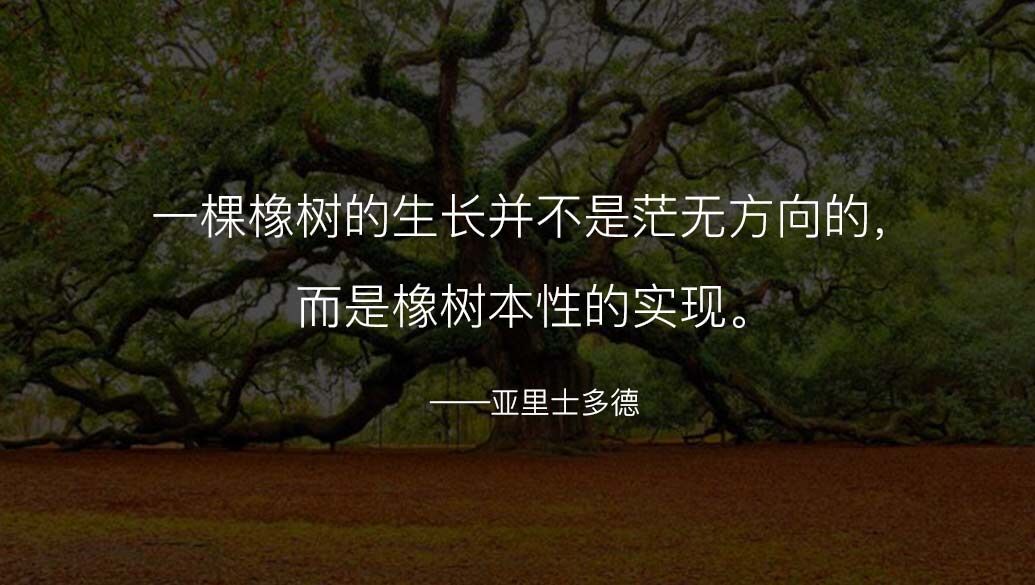 如何准确报进度